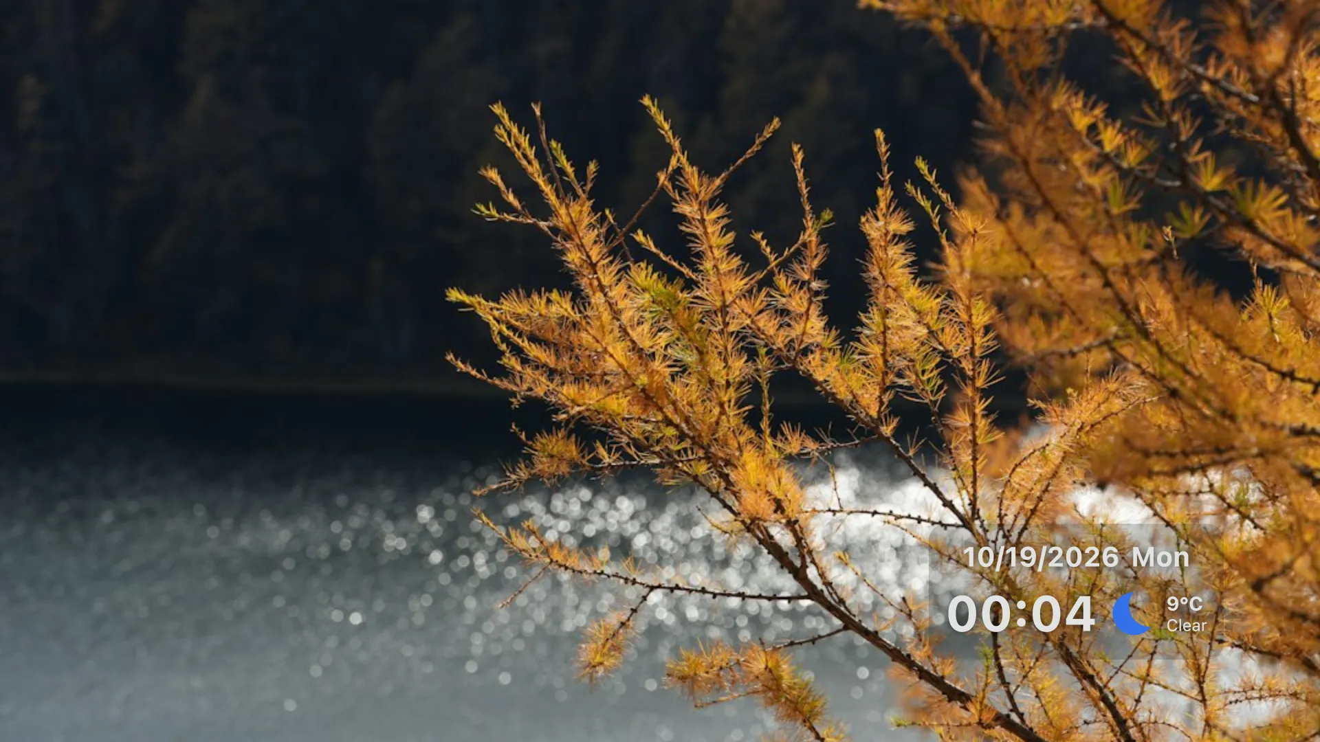 Showcase on a TV, playing a slideshow with the time and weather